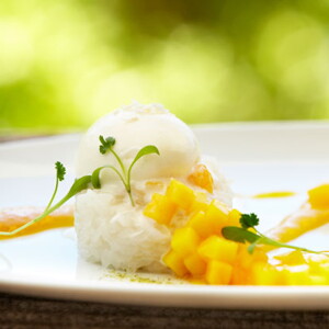 Crema de mango y helado de coco