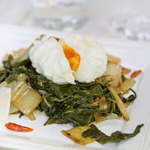 Acelgas, alimento rico en ácido fólico