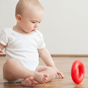 el-desarrollo-del-cerebro