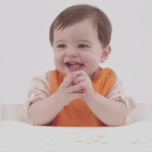 Curso básico de lactancia