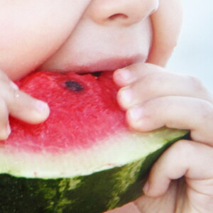 Tu guía de mini comidas inteligentes