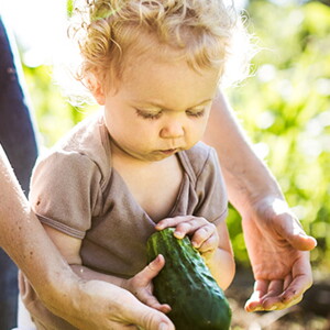 Comida orgánica: del campo a los dedos
