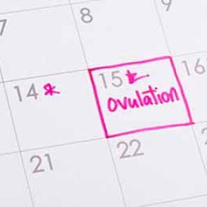 ¿Podemos tener la menstruación sin ovular?