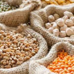 MENOPAUSIA PRECOZ: DIETAS PARA UN TRATAMIENTO NATURAL