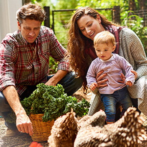 Cinco pasos para comprar ecológico