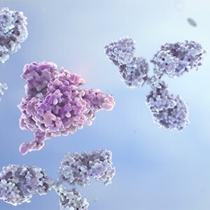 Alimentos ricos en proteínas – Nestlé Bebés