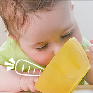 Guía para la alimentación complementaria