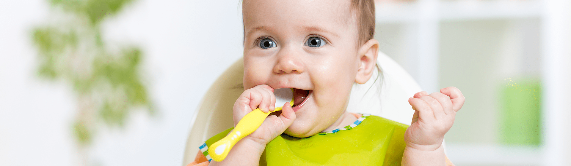 Alimentacion del bebe