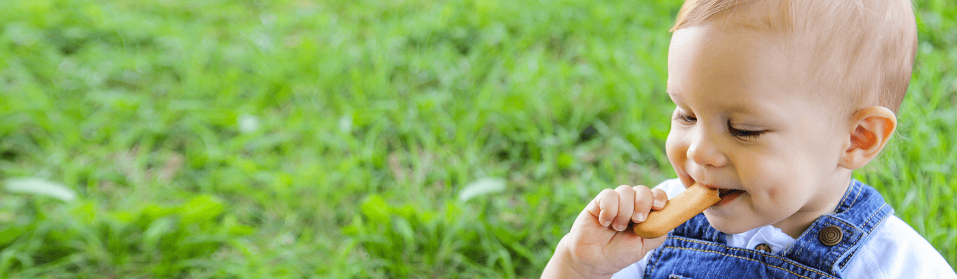 Galletas y snacks para bebés