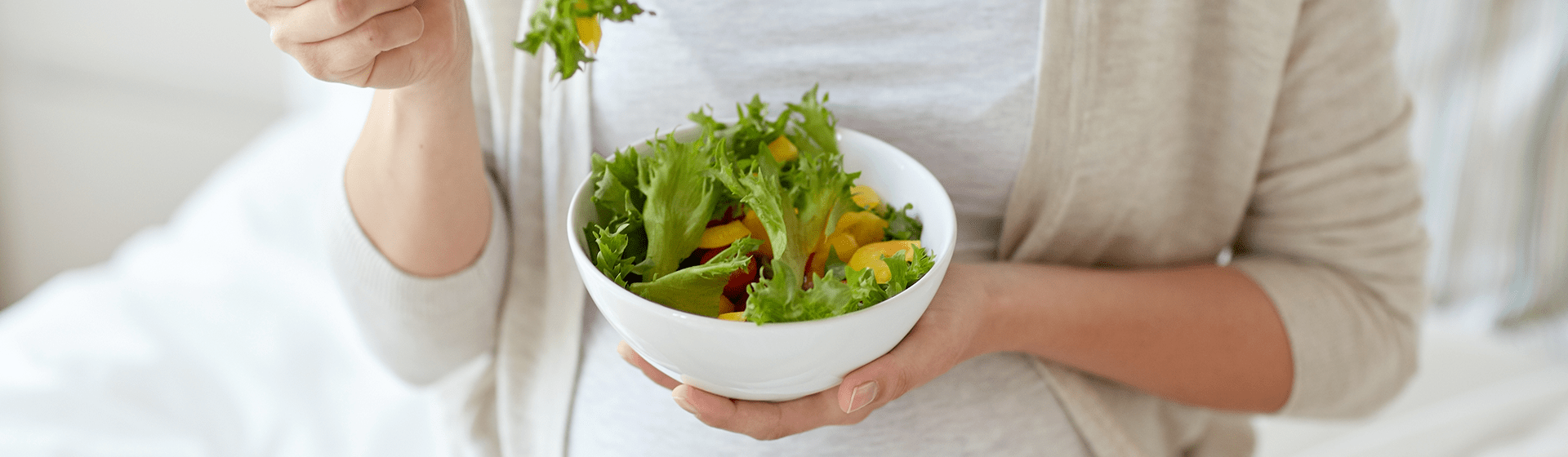 Alimentacion en el embarazo